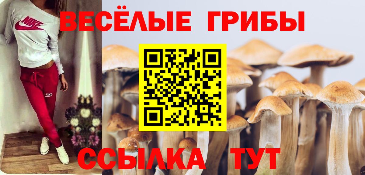 Учалы  Псилоцибиновые грибы ЛСД  Вход с VPN 